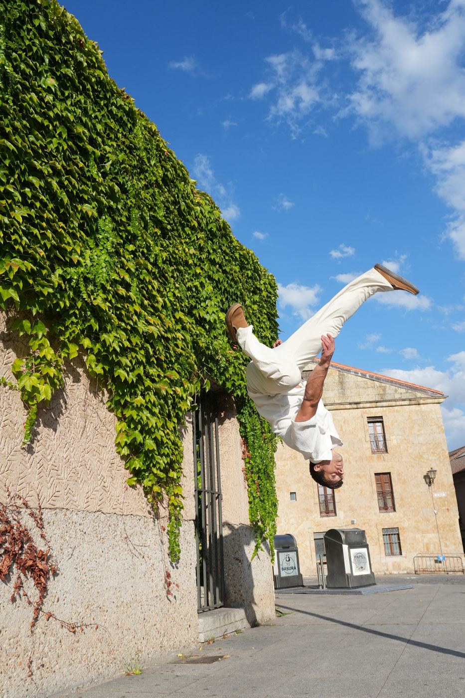 Mid-rotation against the ivy